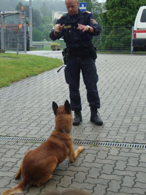 Kinderpolizei 64.jpg