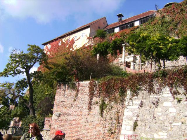 BILD0836.JPG