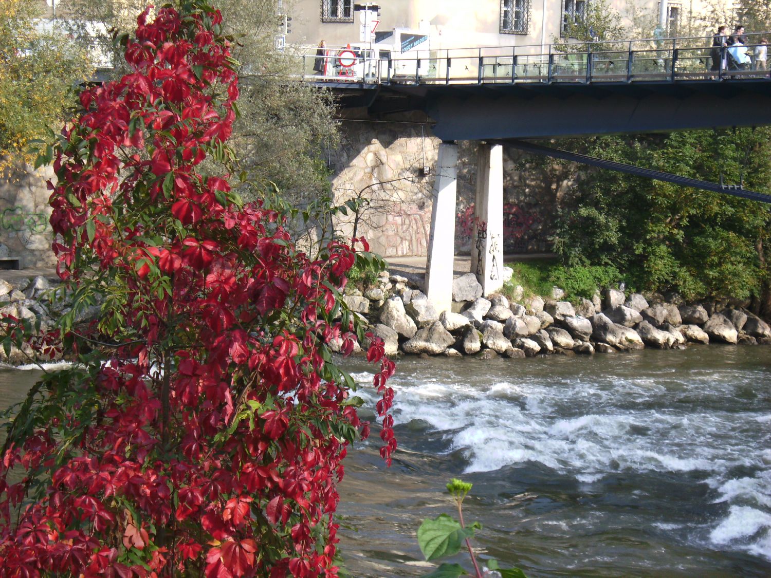 BILD0848.JPG