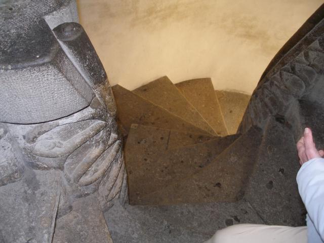 12_Grazaktion 2010.JPG