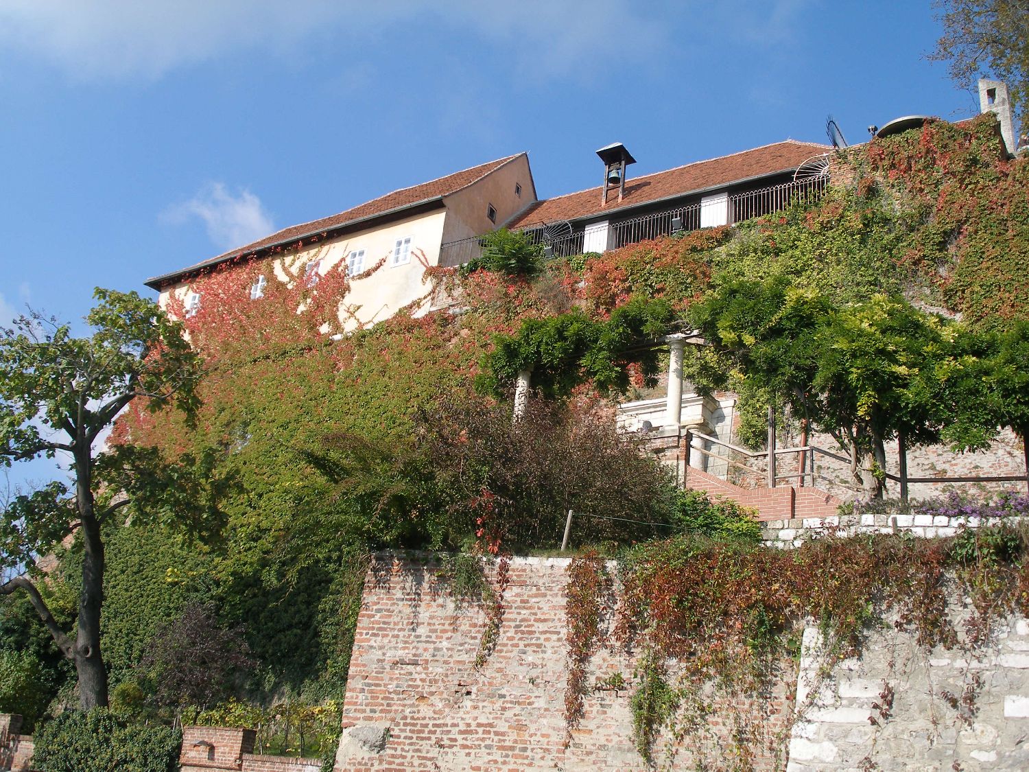 32_Grazaktion 2010.JPG