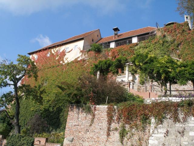 32_Grazaktion 2010.JPG