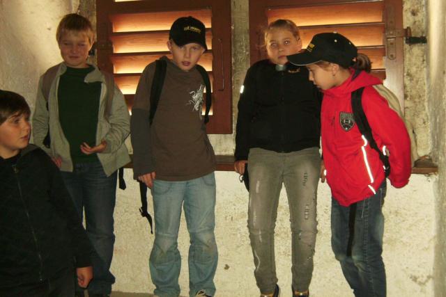 60_Grazaktion 2010.JPG
