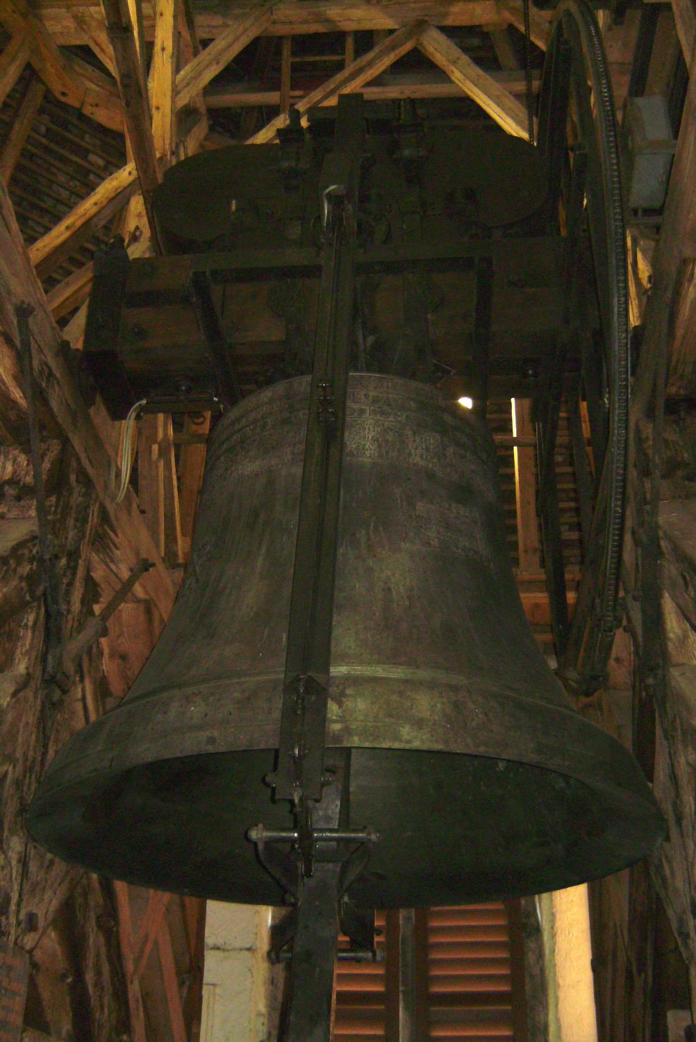 61_Grazaktion 2010.JPG