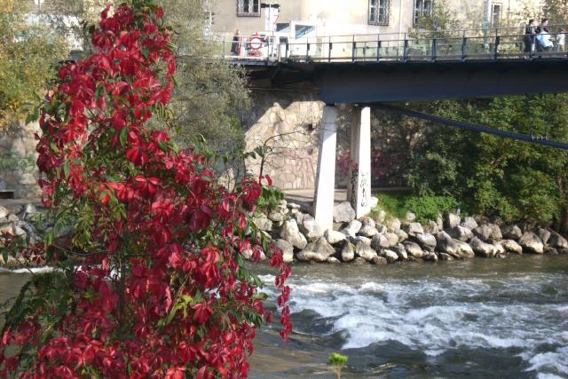 82_Grazaktion 2010.JPG