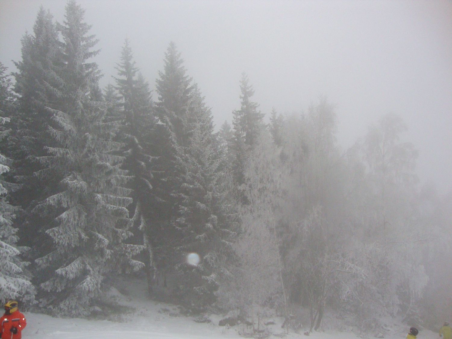 DSC01727.JPG