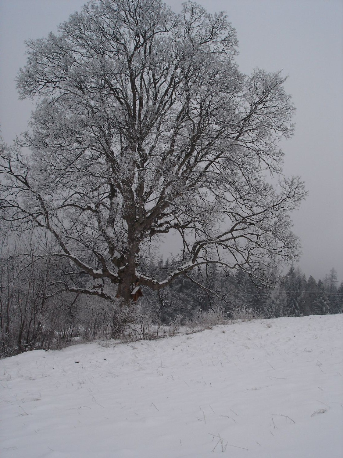 DSC05399.JPG