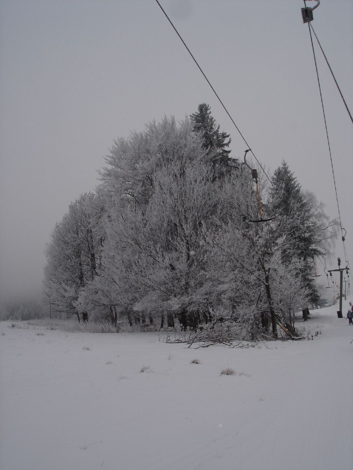 DSC05400.JPG