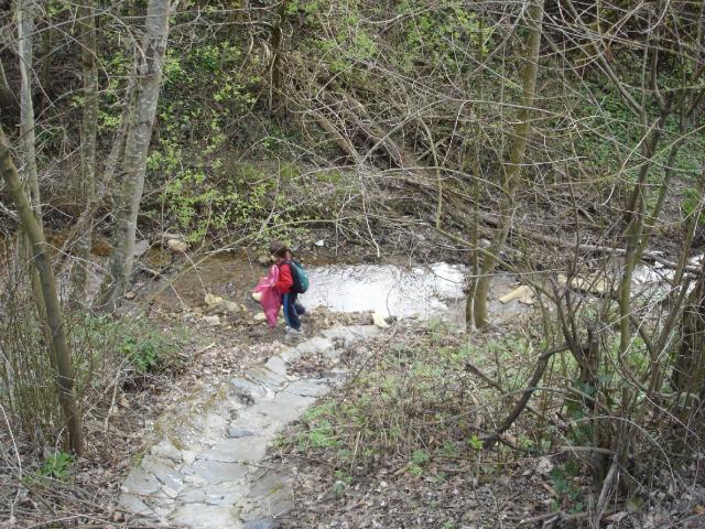 DSC05557.JPG
