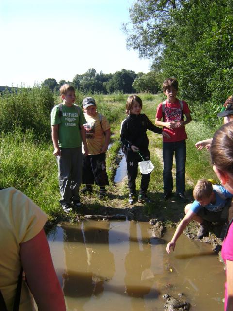 BILD0351.JPG