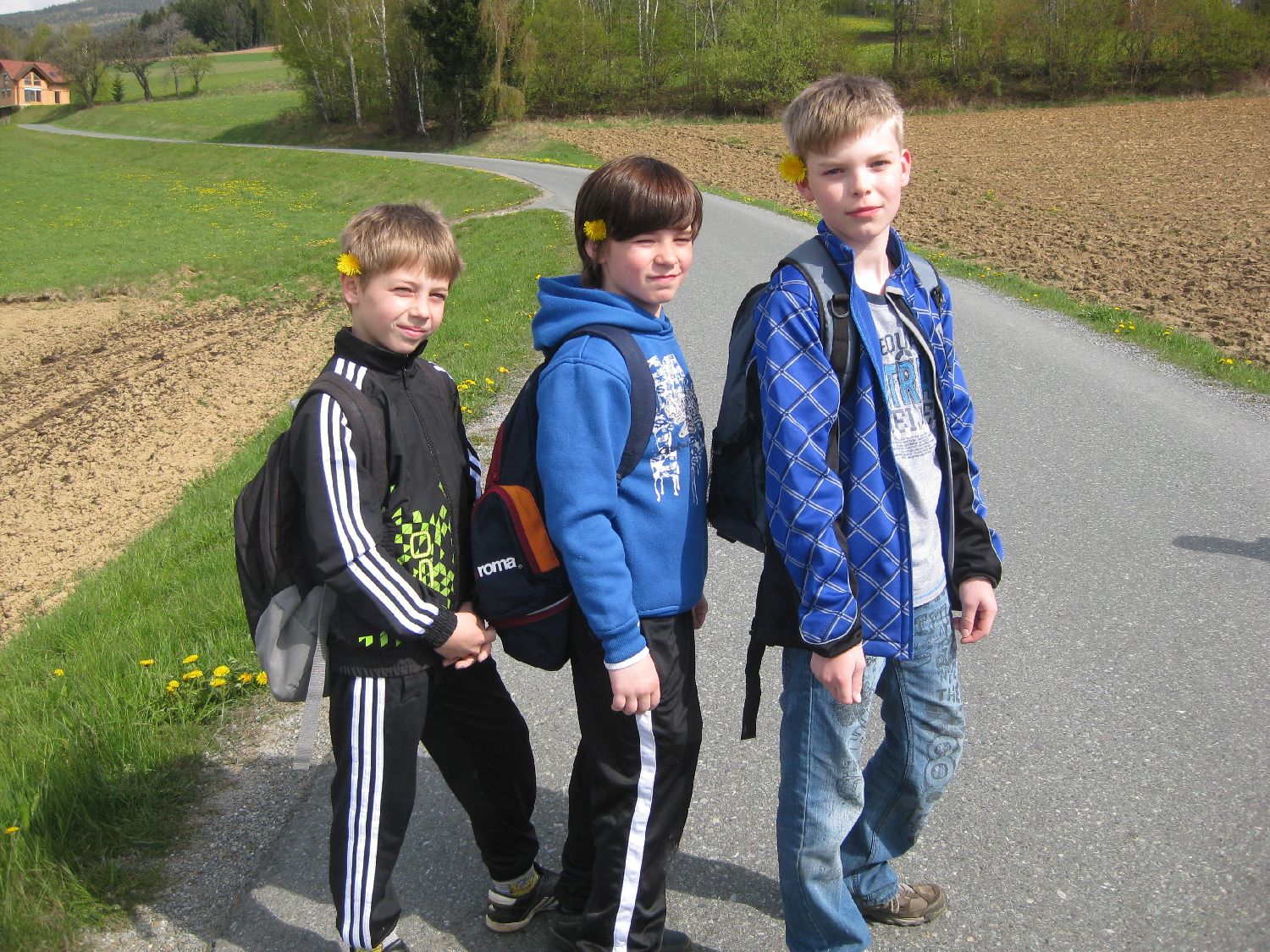 IMG_4237.jpg