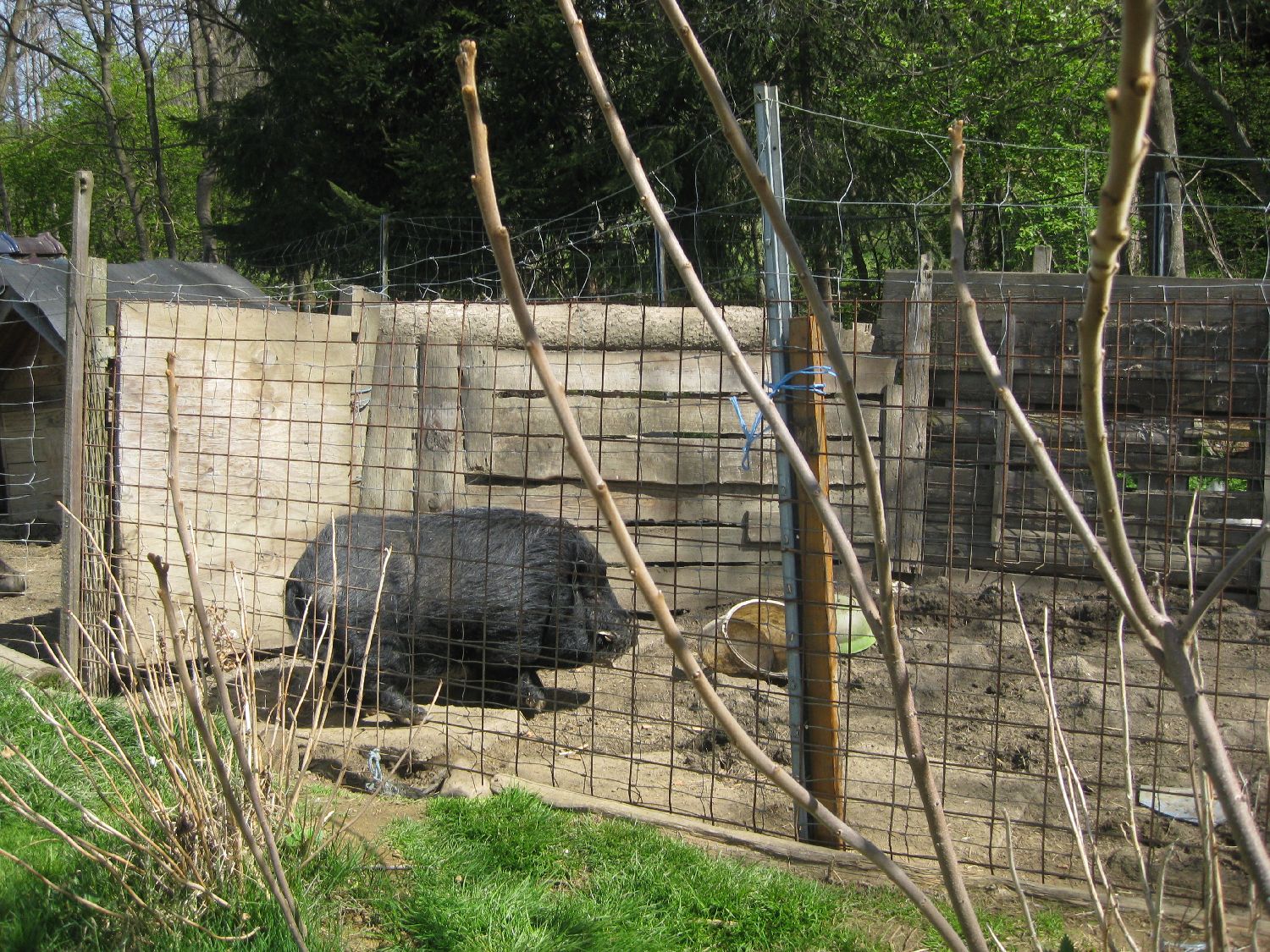 IMG_4244.jpg