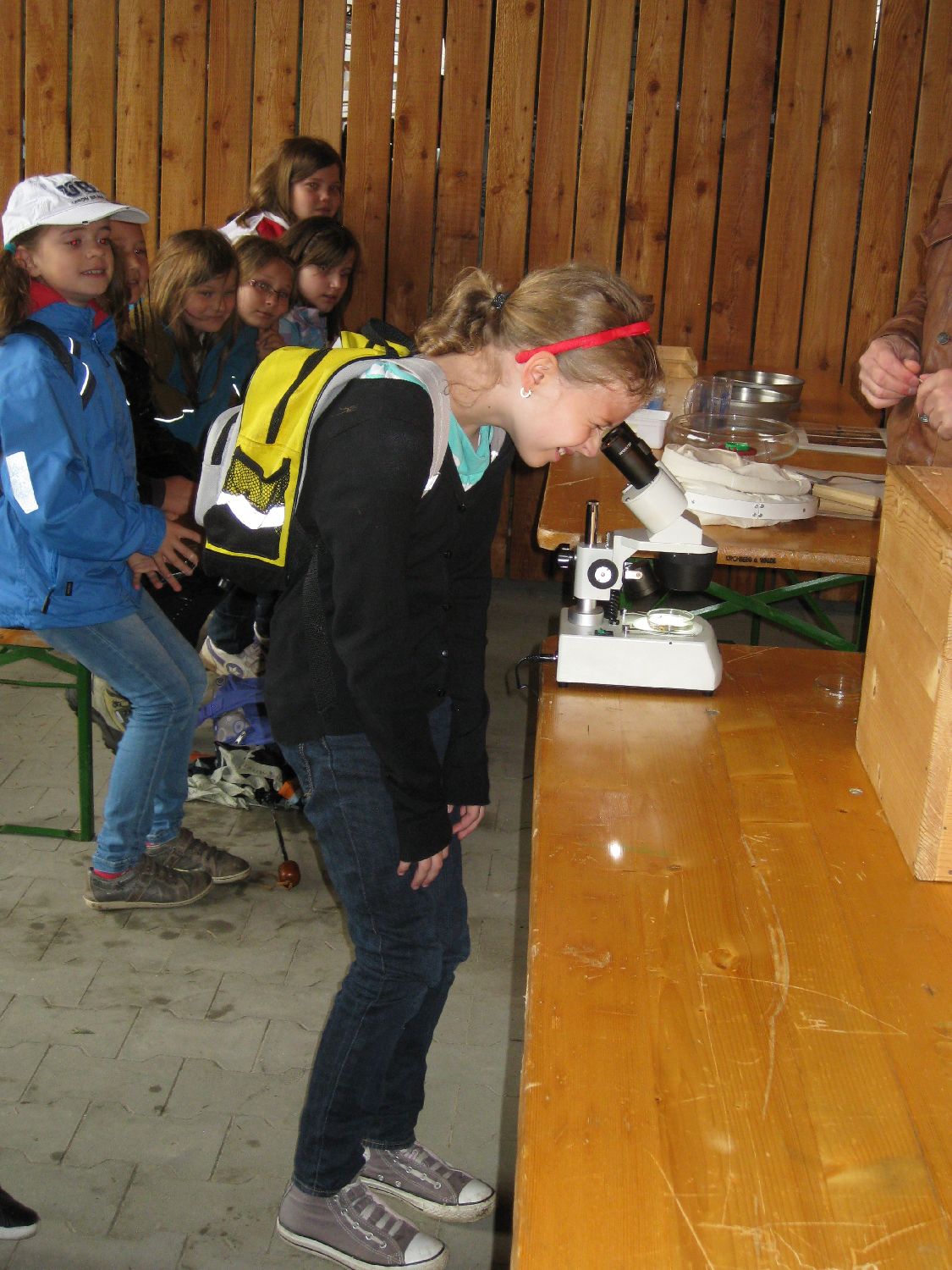 IMG_4310.jpg