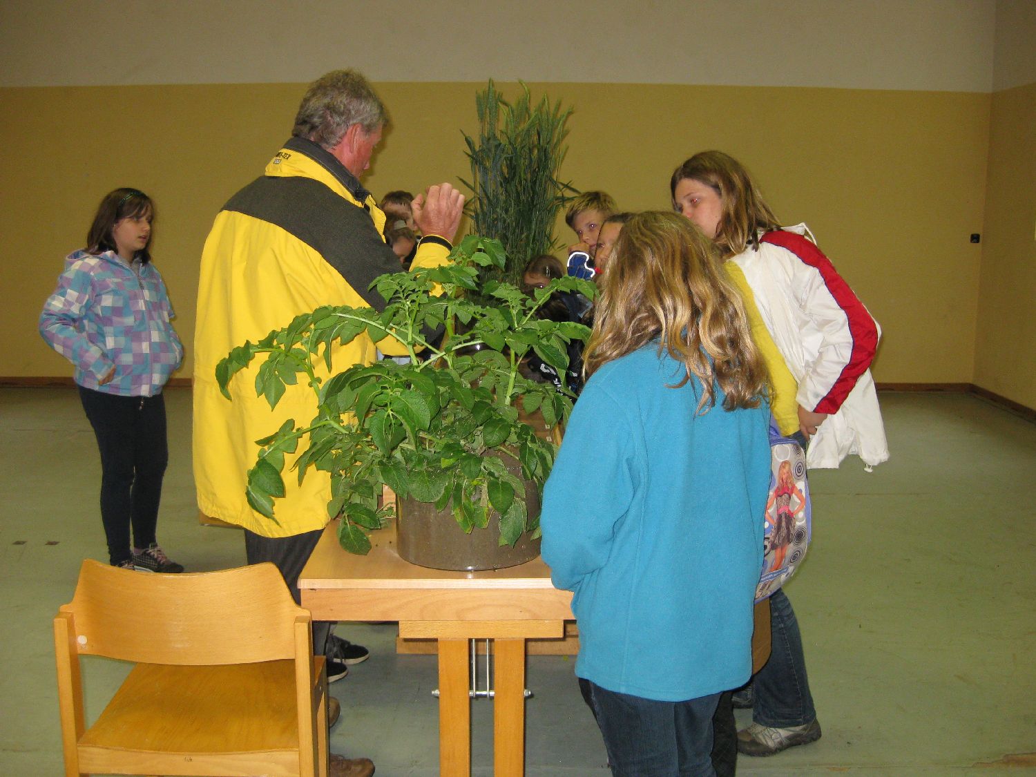 IMG_4330.jpg