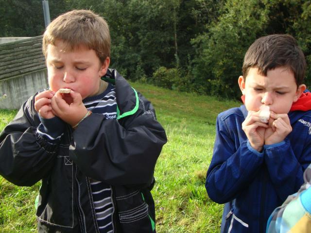 DSC03097.JPG