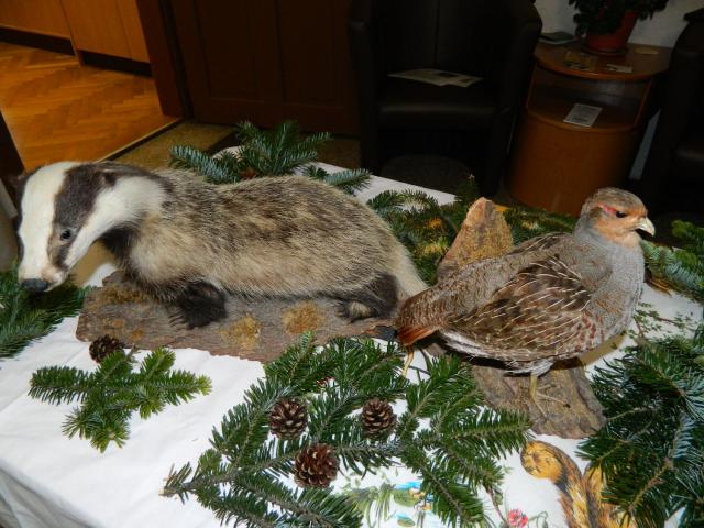 DSCN9318.jpg