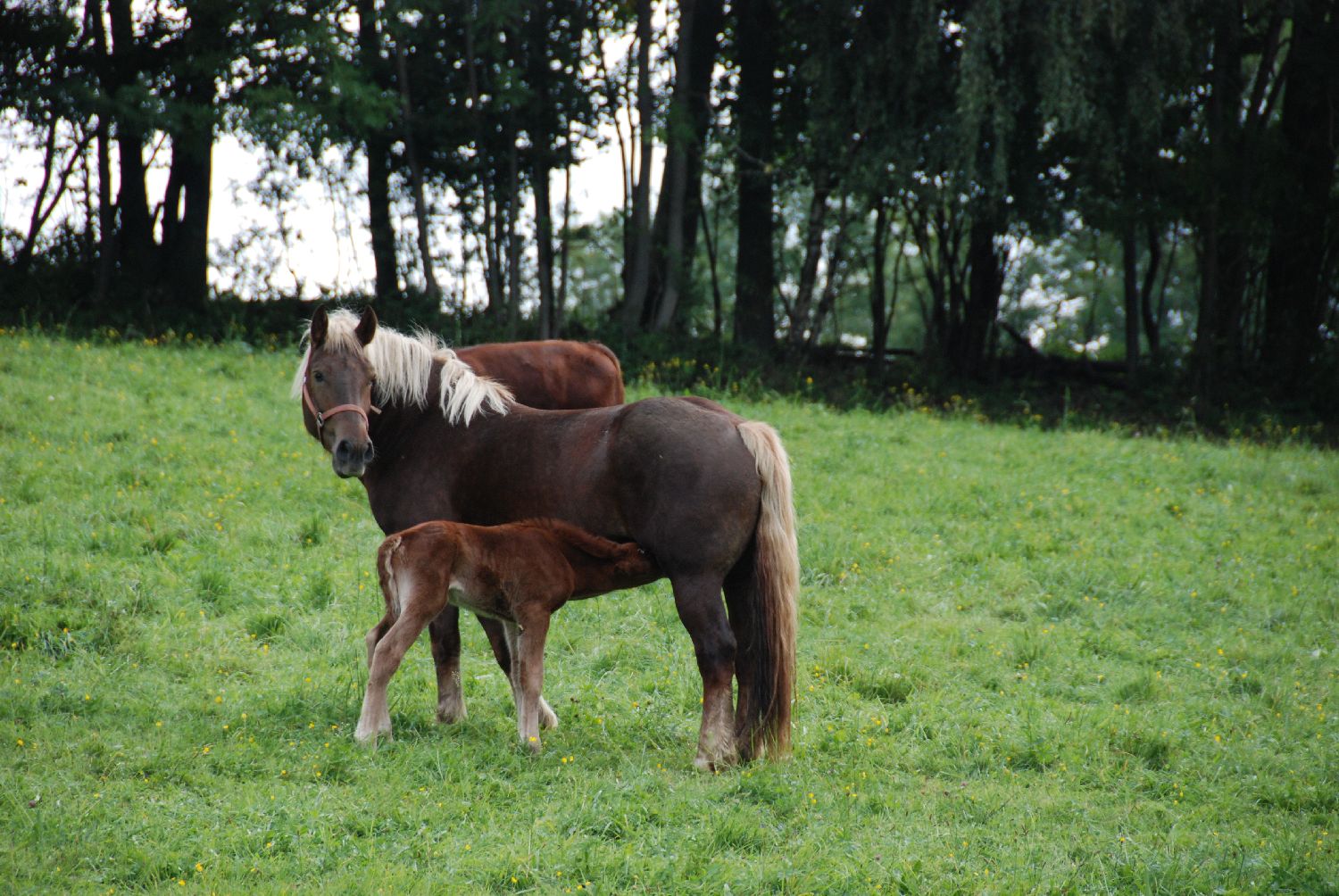 DSC_5708.JPG