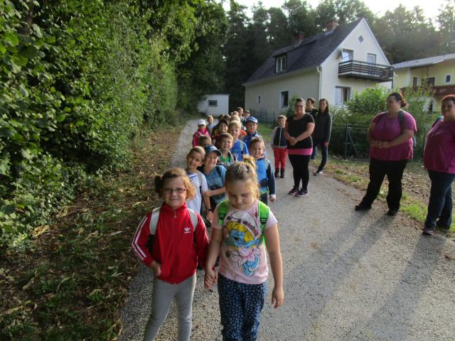IMG_0877.JPG