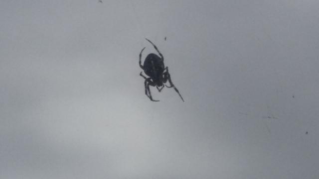 20150918_104514.jpg