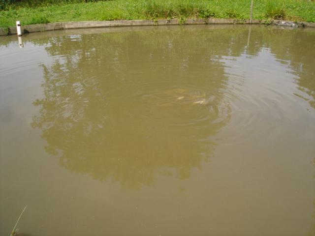 DSC03920.JPG