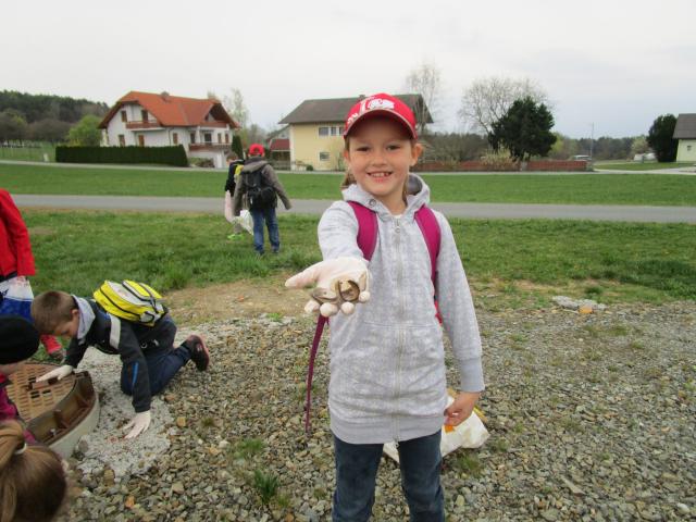 image013.jpg