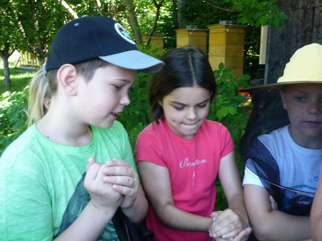 image012.jpg