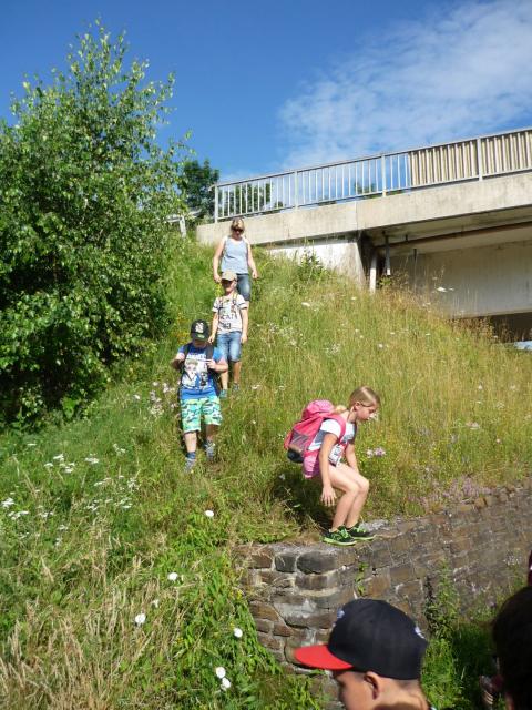 image008.jpg