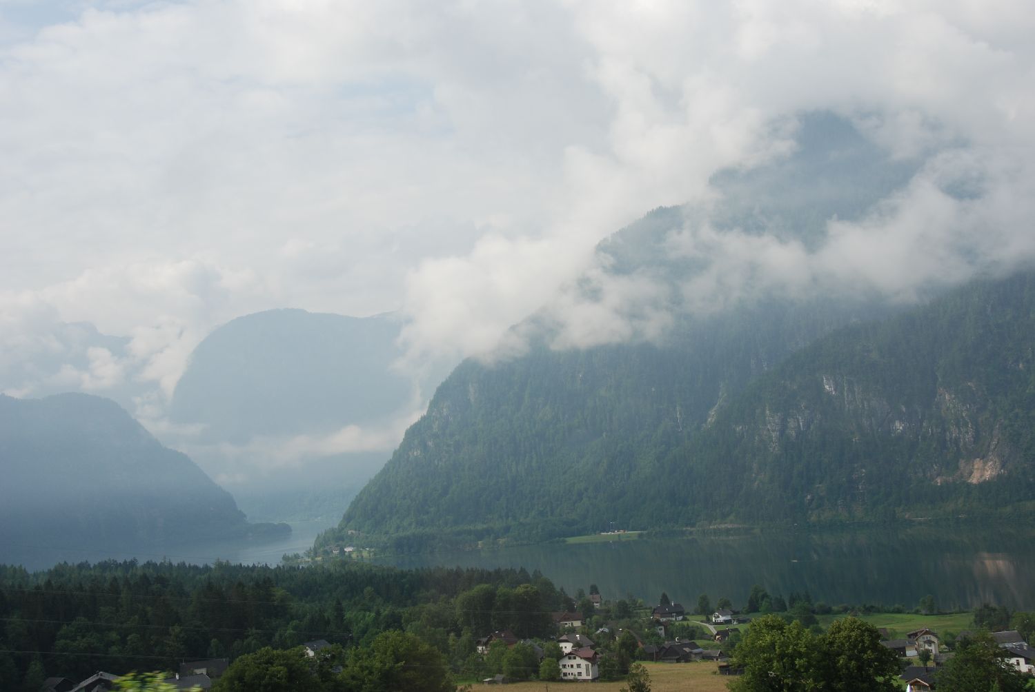 DSC_8260.jpg