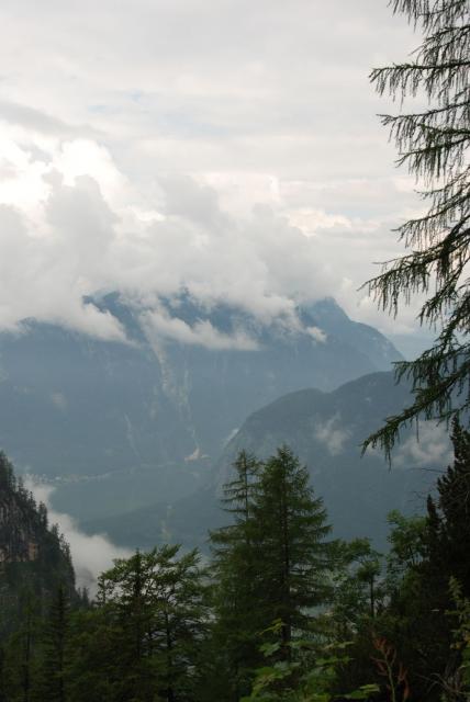 DSC_8305.jpg