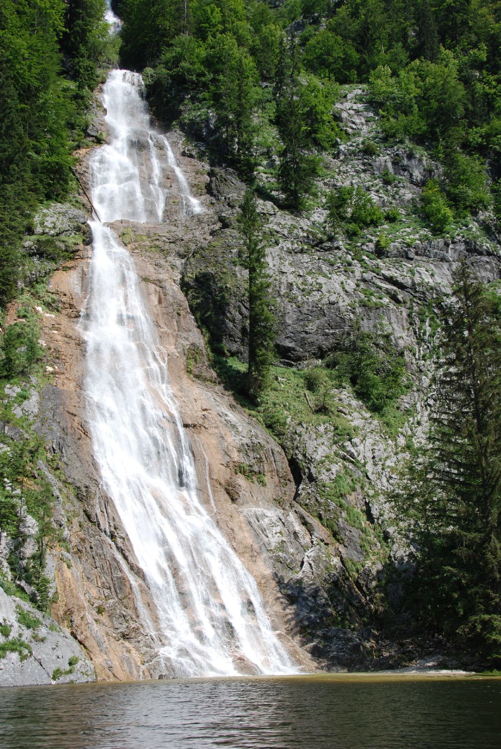DSC_8562.jpg