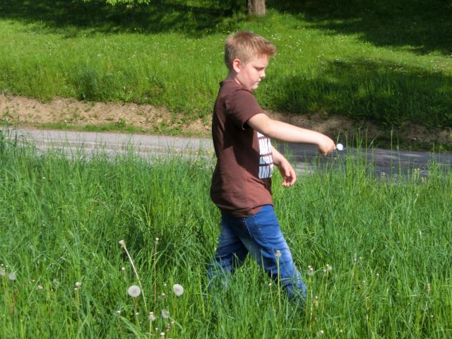 image008.jpg