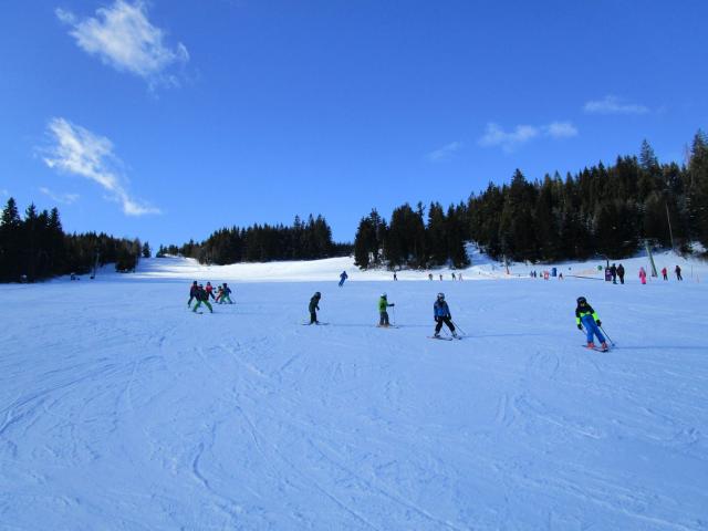IMG_4600.JPG