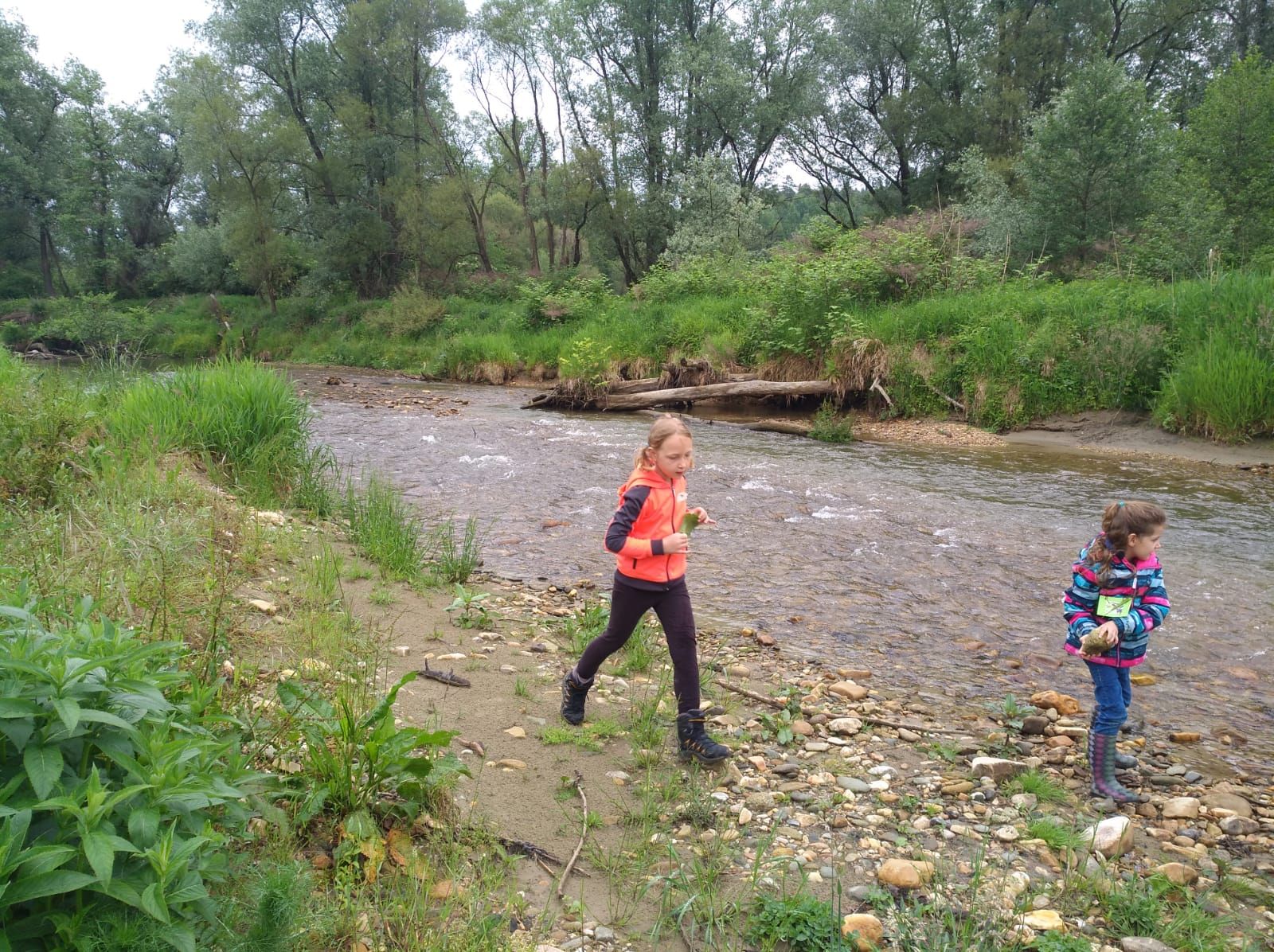 IMG-20190603-WA0054.jpg