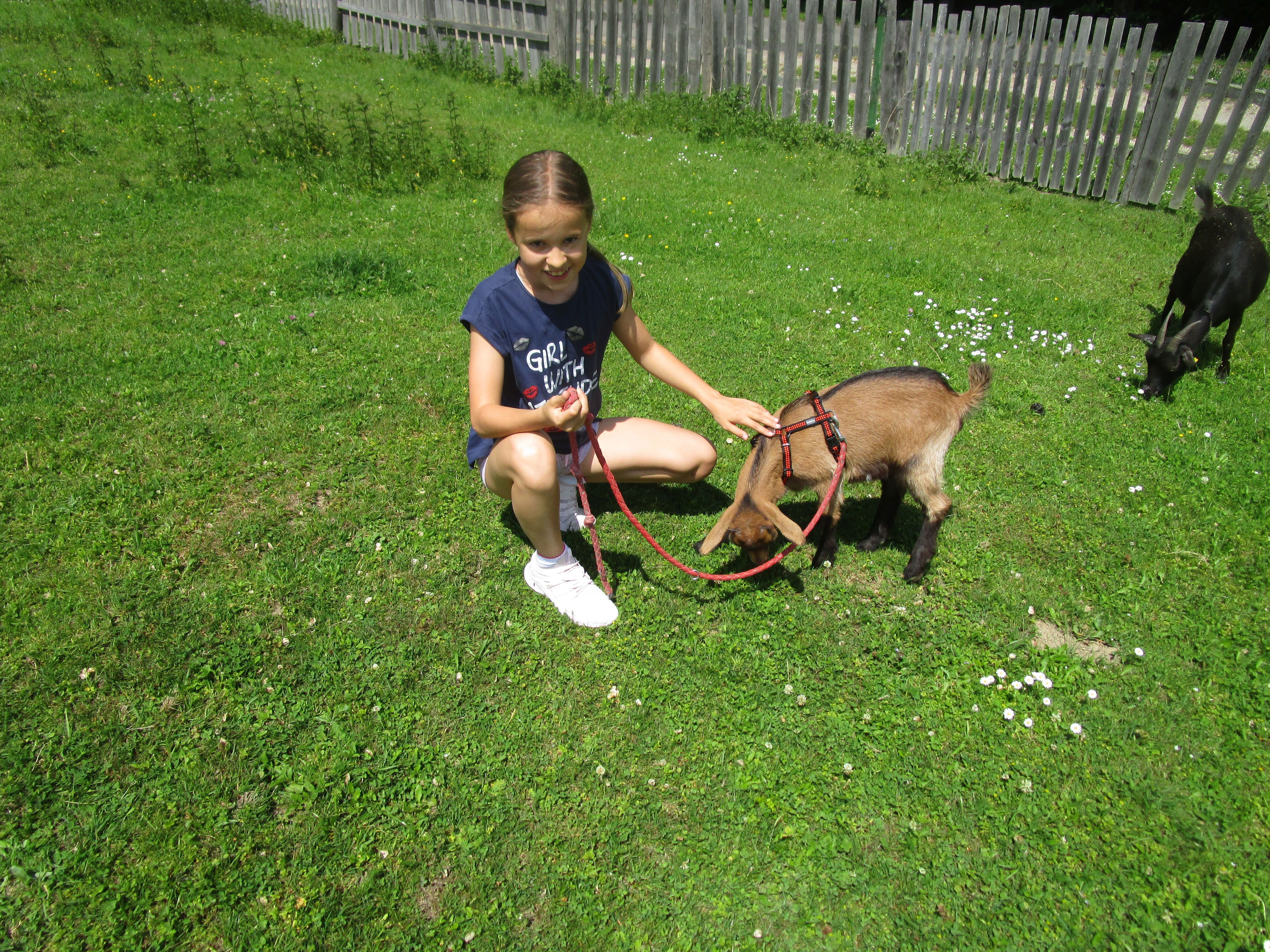 IMG_4878.JPG