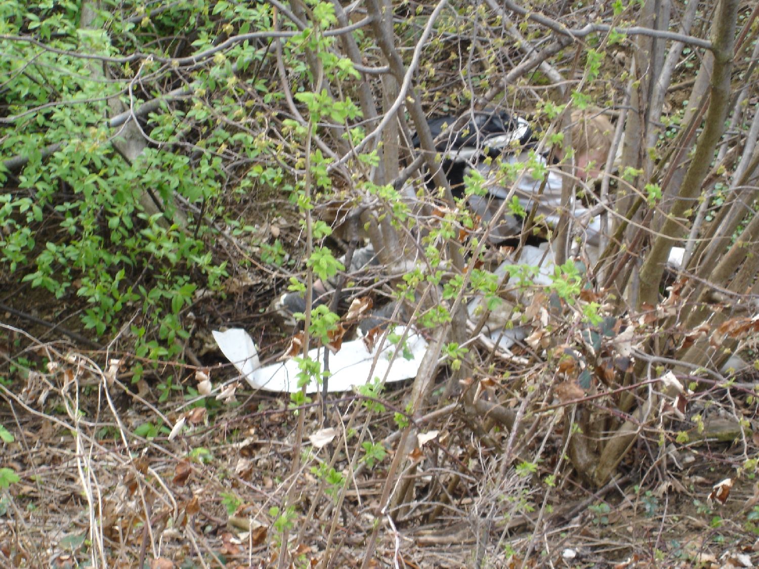 Frühjahrsputz 33.jpg