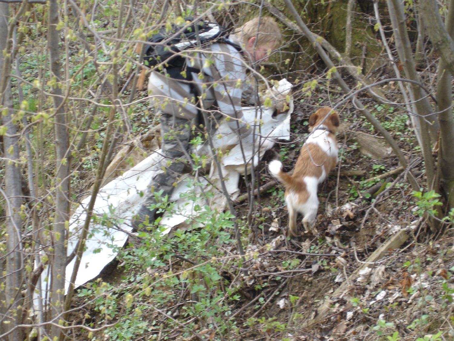 Frühjahrsputz 34.jpg