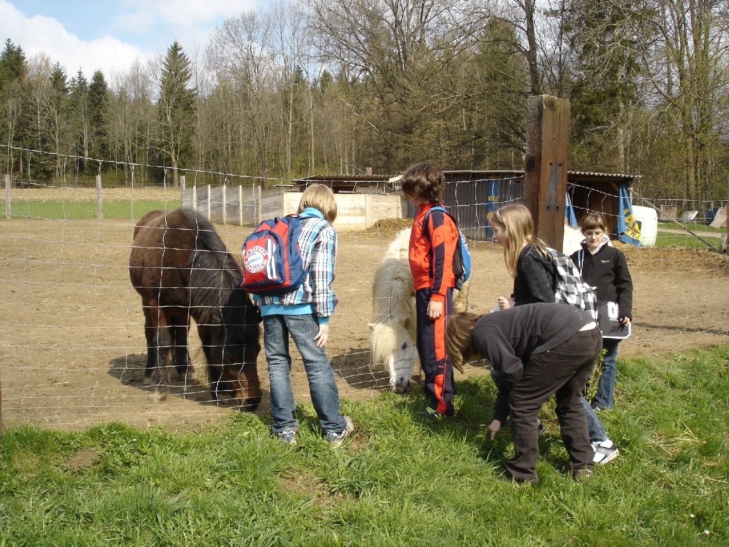 Frühjahrsputz 47.jpg