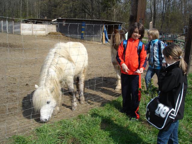 Frühjahrsputz 48.jpg