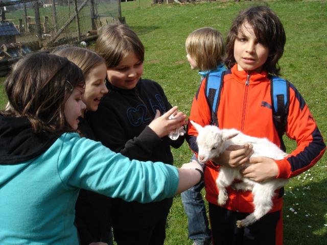 Frühjahrsputz 68.jpg