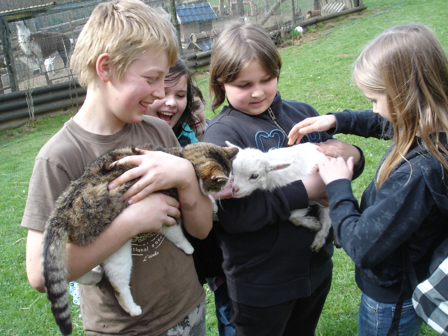 Frühjahrsputz 71.jpg